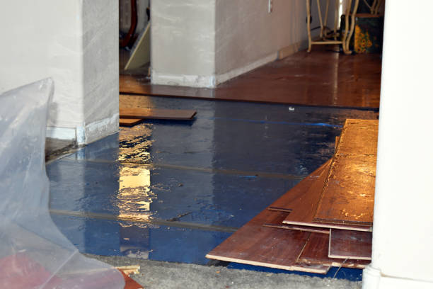 Professional Basement Flood Cleanup technician working in Holcomb, KS